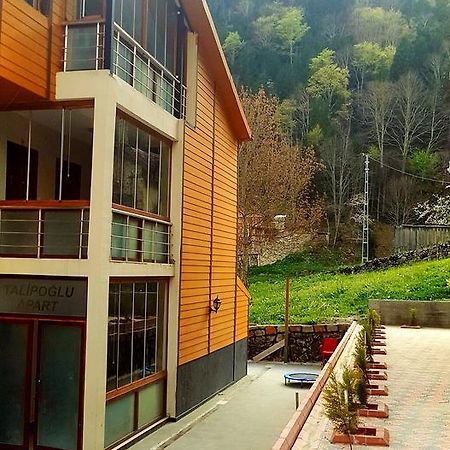 Talipoglu Apart Uzungol Exterior foto