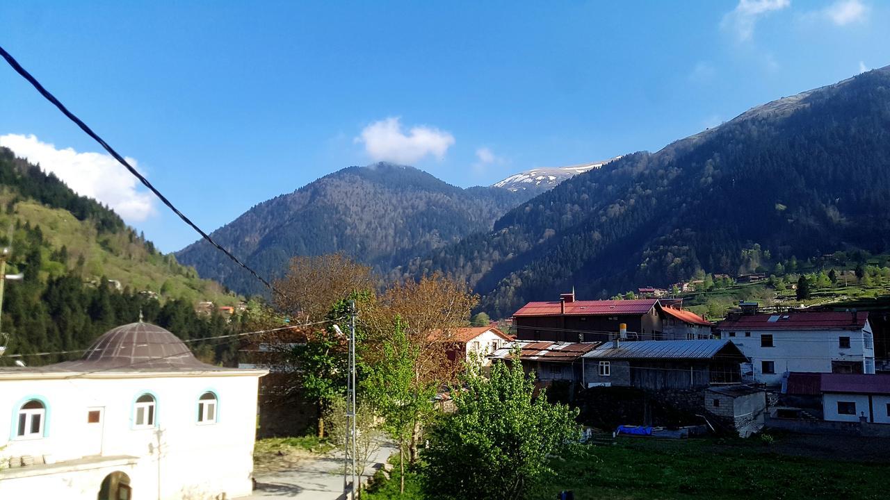 Talipoglu Apart Uzungol Exterior foto