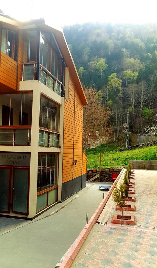 Talipoglu Apart Uzungol Exterior foto