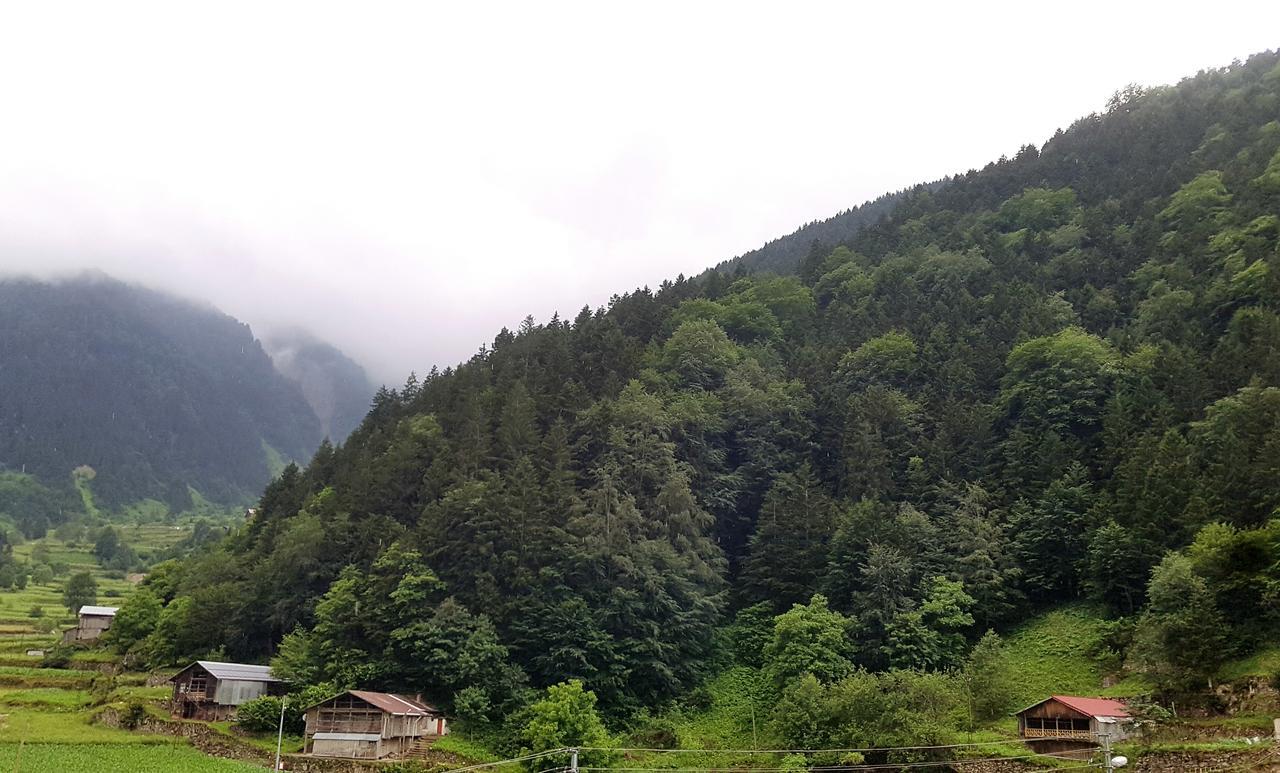 Talipoglu Apart Uzungol Exterior foto